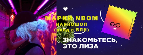соль ск Гусь-Хрустальный