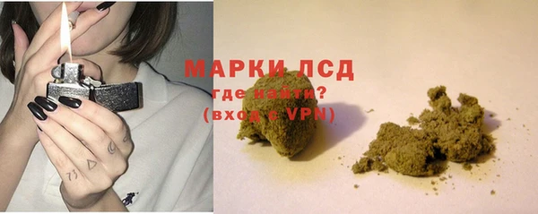 ПСИЛОЦИБИНОВЫЕ ГРИБЫ Гусиноозёрск