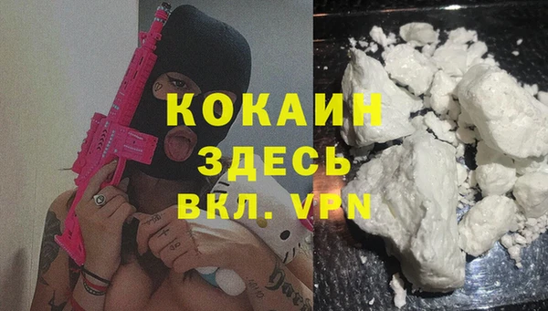скорость Гусев
