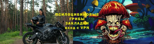 a pvp Ельня