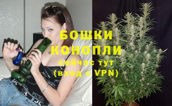 ПСИЛОЦИБИНОВЫЕ ГРИБЫ Гусиноозёрск