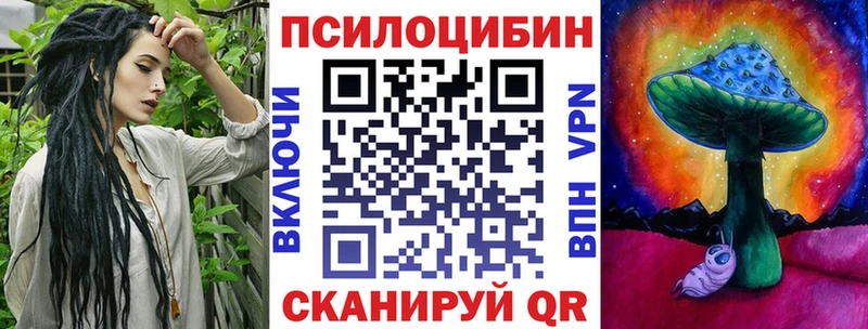 Псилоцибиновые грибы Psilocybine cubensis  купить  цена  Дрезна 